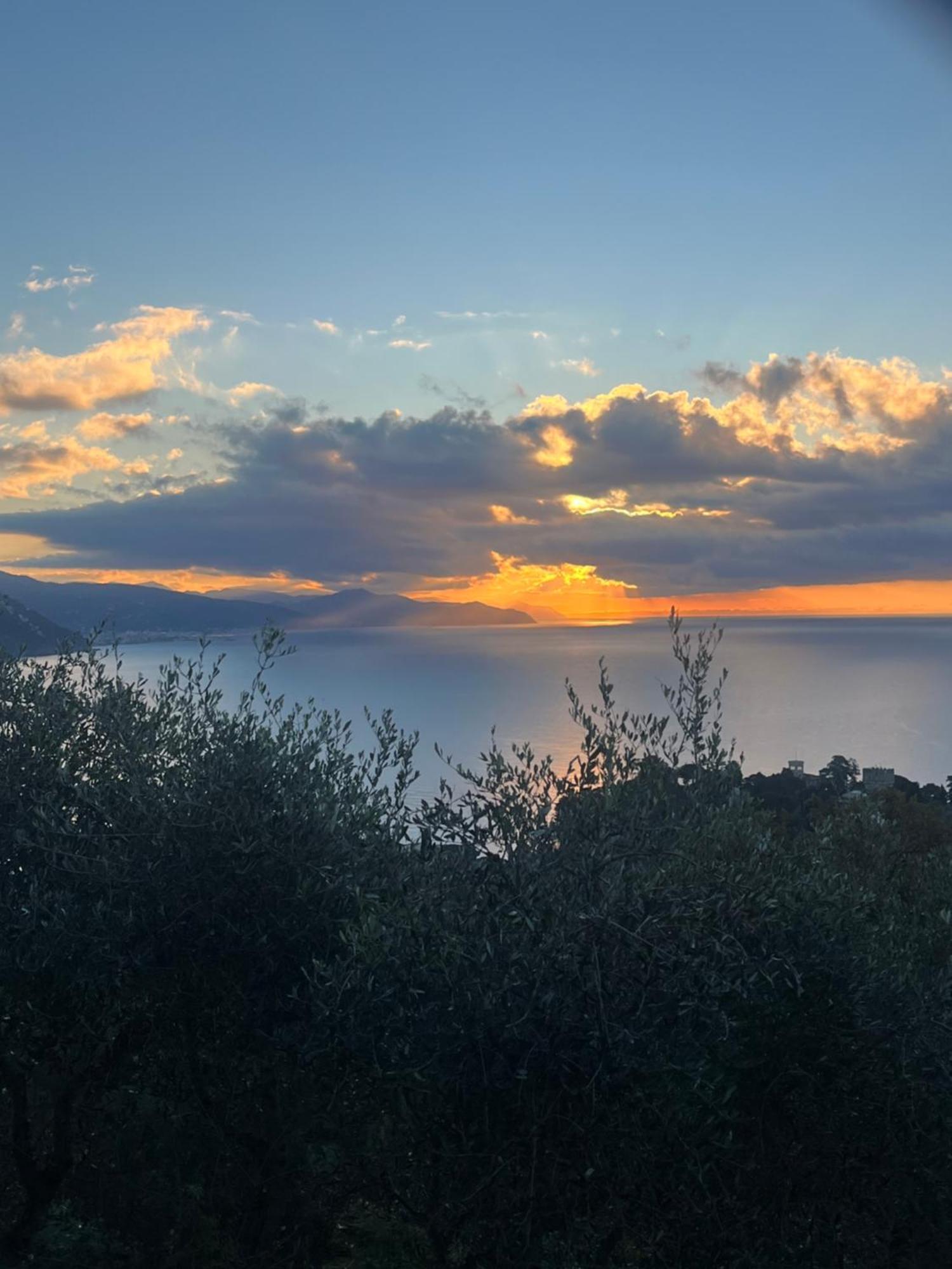 La Conchiglia Bed & Breakfast Camogli Exterior photo